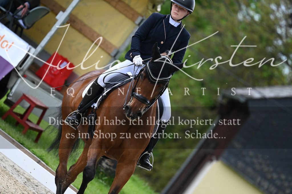20230512_JK-Röhrsdorf-05-052 | Pferde- und Turnierfotografie in Westsachsen. Pferdeportraits, Auftragszeichnungen und intuitive Kunst.