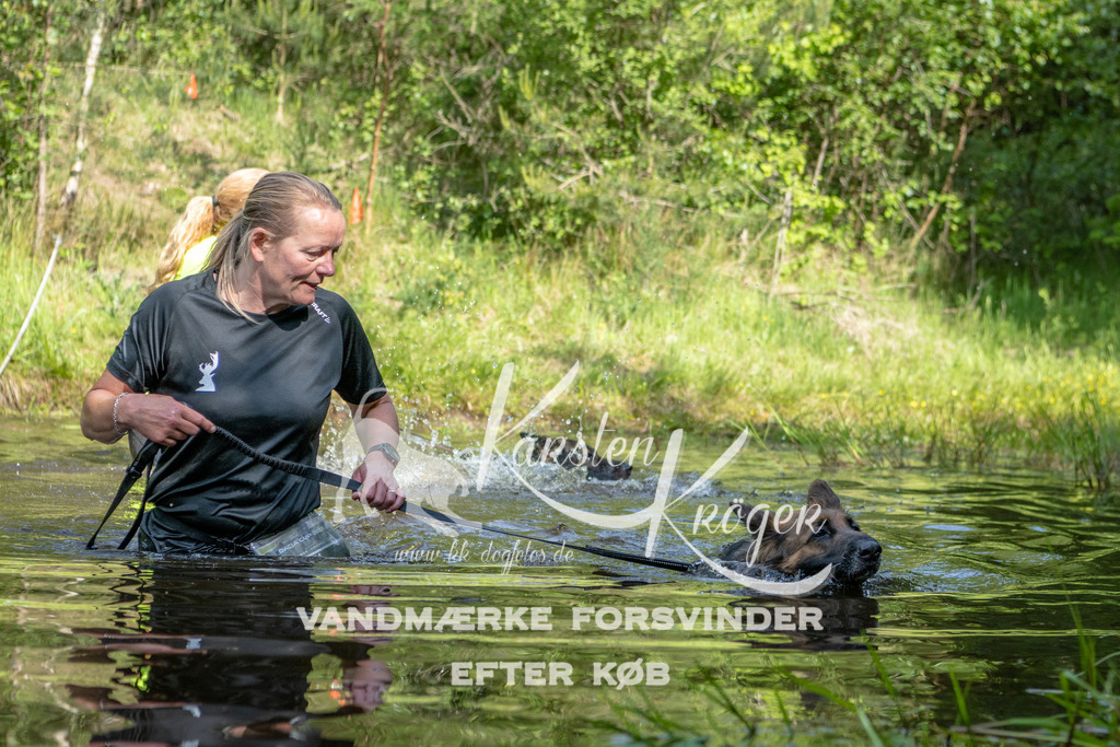 0953DKK9_ZZ93690 | kk-dogfotos