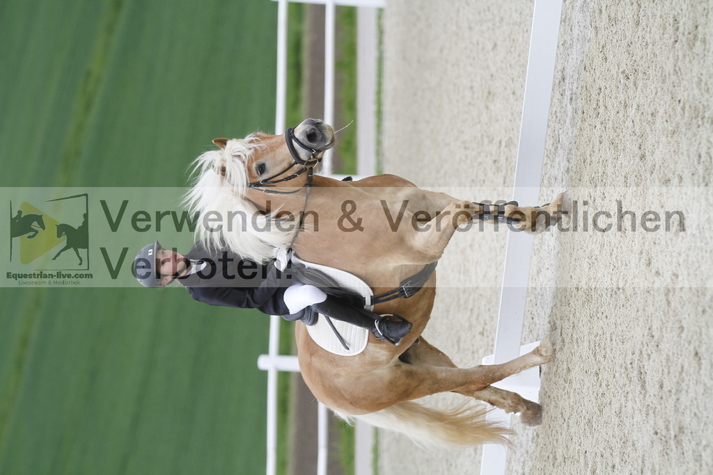 _MG_0667 | equestrian-live-com