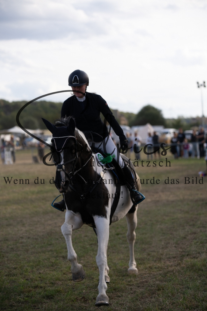 A7V09908 | Pferdefotograf