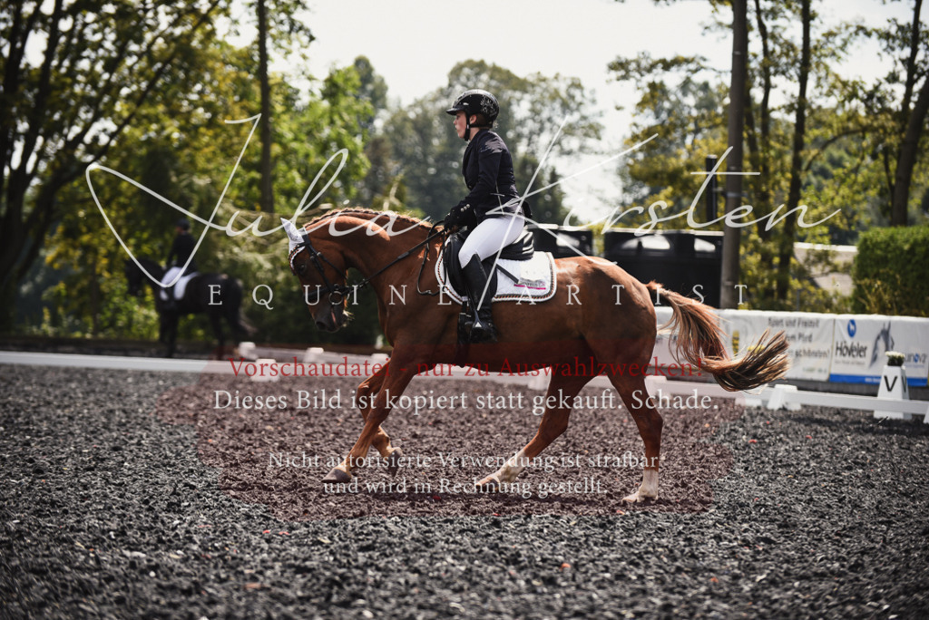 DSC_4228 | Pferde- und Turnierfotografie in Westsachsen. Pferdeportraits, Auftragszeichnungen und intuitive Kunst.