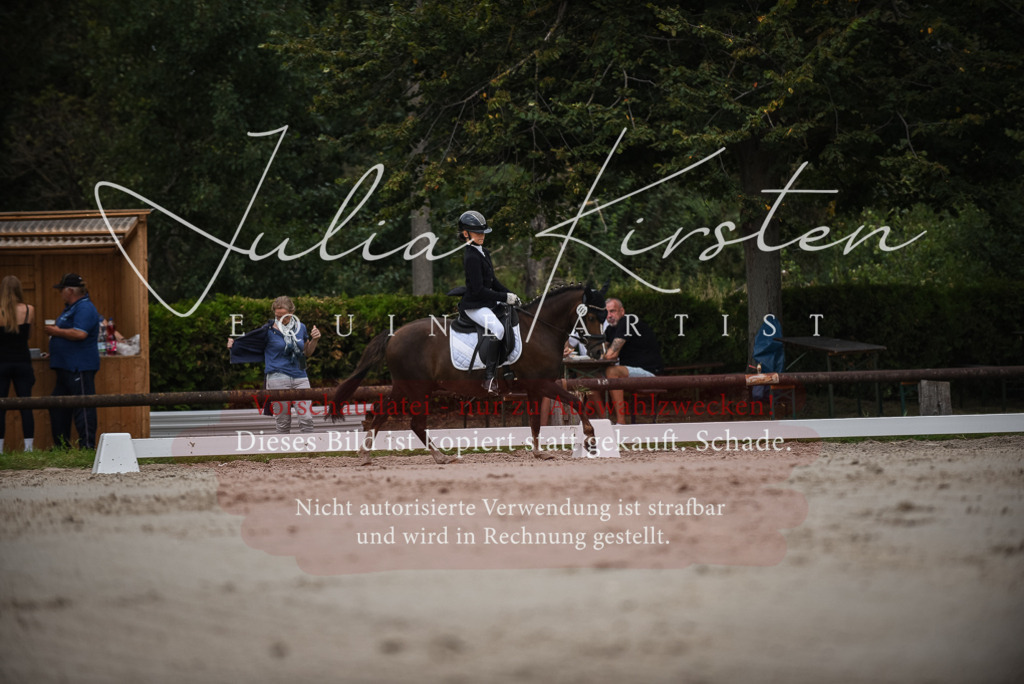 DSC_8140 | Pferde- und Turnierfotografie in Westsachsen. Pferdeportraits, Auftragszeichnungen und intuitive Kunst.