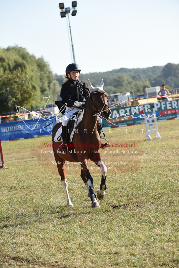 DSC_5594 | Pferde- und Turnierfotografie in Westsachsen. Pferdeportraits, Auftragszeichnungen und intuitive Kunst.