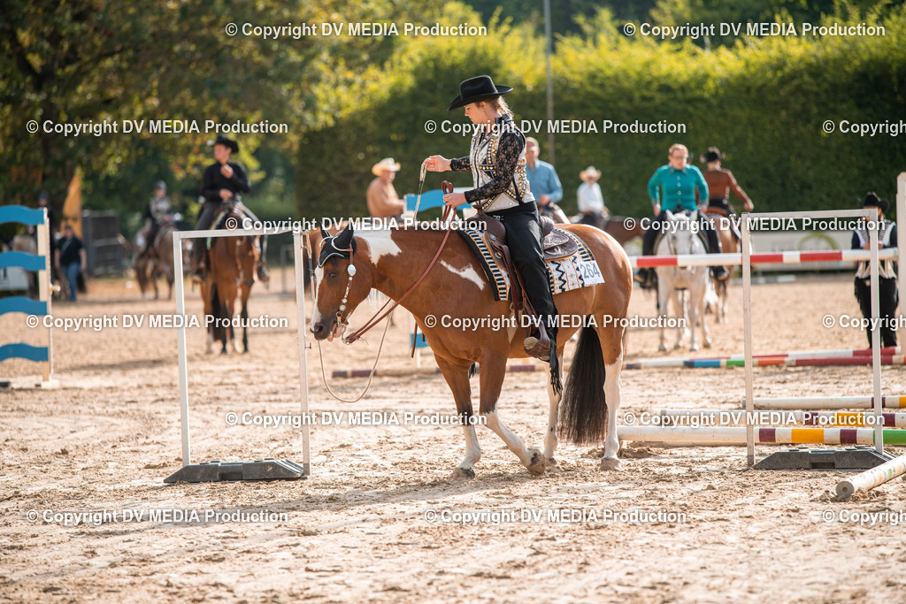 ZS3_9097 | dv-media-shop - Realisiert mit Pictrs.com