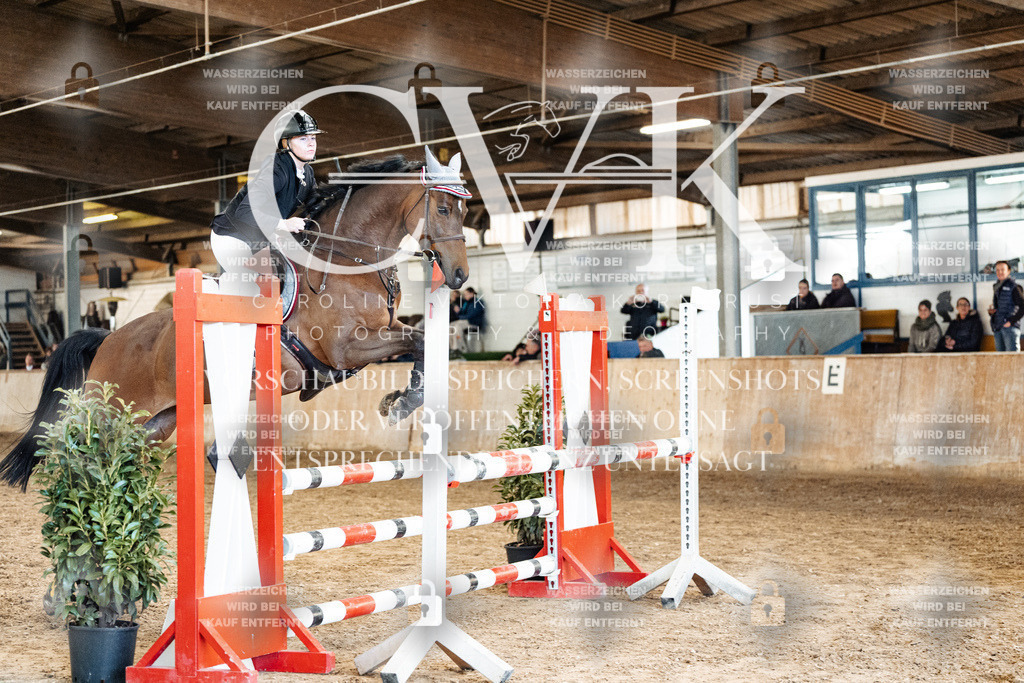 CK905240 | Turnierfotografie Pferdefotografie Trier Rheinland-Pfalz Pferdesport Reitsport Tierfotografie Sportfotografie Pferdevideo Pferdevideografie Equestrianvideography equestrianphotography  - Realized with Pictrs.com