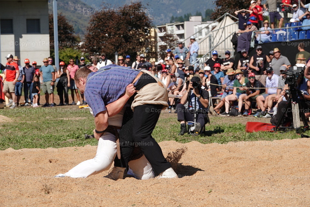DSC01739 | Schwingen - Realisiert mit Pictrs.com