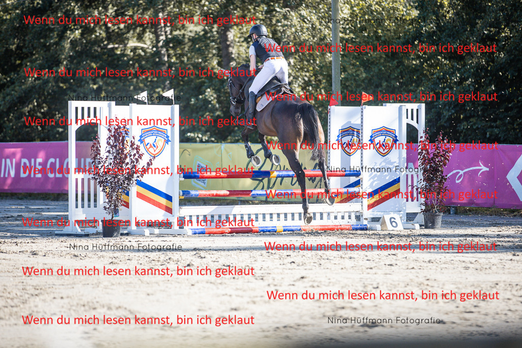 BK1A7482 | Turnierbilder Turnierfotos Nina Hüffmann Turnierfotografie Pferdefotografie Tierzeichnung Haustierzeichnung Pferdezeichnung Hundezeichnung Videograf  - Realisiert mit Pictrs.com