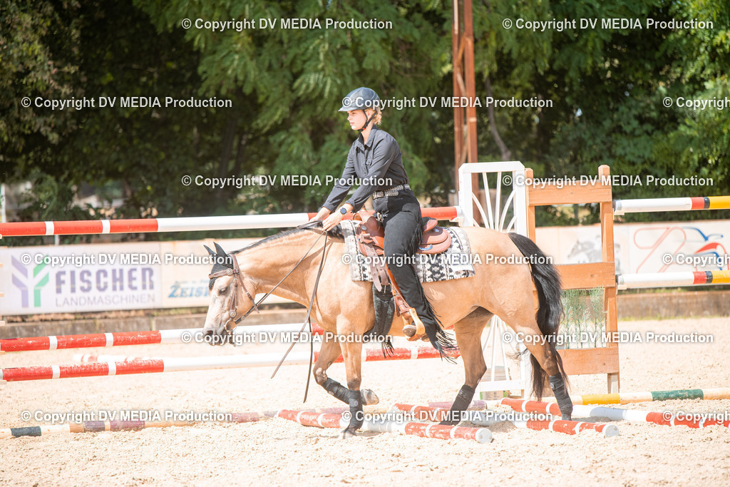 EWP_6704 | dv-media-shop - Realisiert mit Pictrs.com