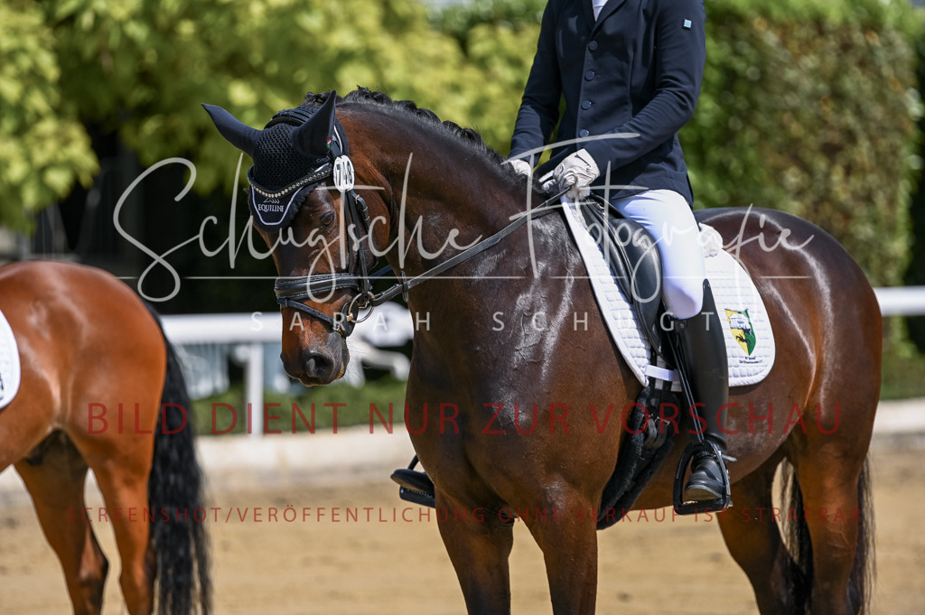 Schugtsche-Aluta25-53.Amat.Dressurprf.A2-42 | Schugtsche Fotografie - Realisiert mit Pictrs.com