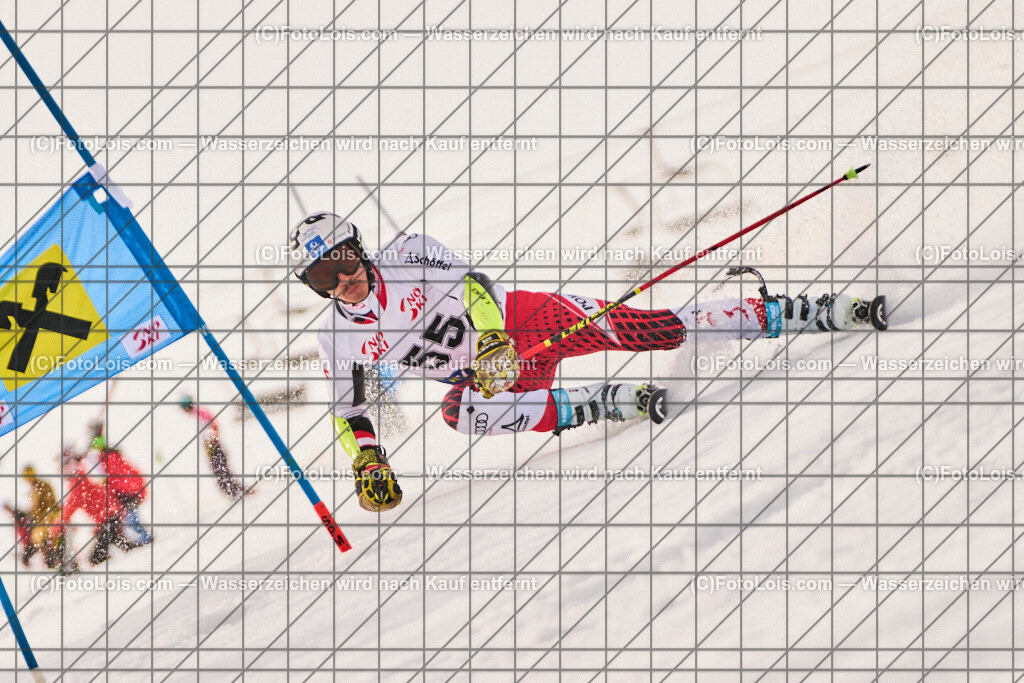 ALP8496_Herrn-FIS-GS-I_Lackenhof-WY_Kroell David | Internationaler FIS GiantSlalom der Herrn auf der Distelpiste in Lackenhof am Mo 10. März 2025.  Österreich, LSV-NÖ, Sportunion Waidhofen/Ybbs (2035).