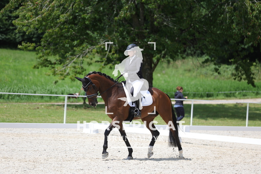 0P6A0639 | Willkommen bei Brunnmayr - Design & Fotografie – Ihrem Spezialisten für Reitturniere und Pferdeveranstaltungen in Oberösterreich, Salzburg und Bayern! Seit über 17 Jahren sind wir leidenschaftlich dabei.
