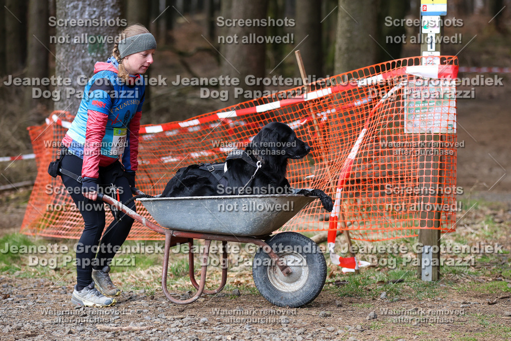 Dog Paparazzi - VCC26-796 | Dog Paparazzi Jeanette Grottendiek Fotografie & Videografie - Realisiert mit Pictrs.com