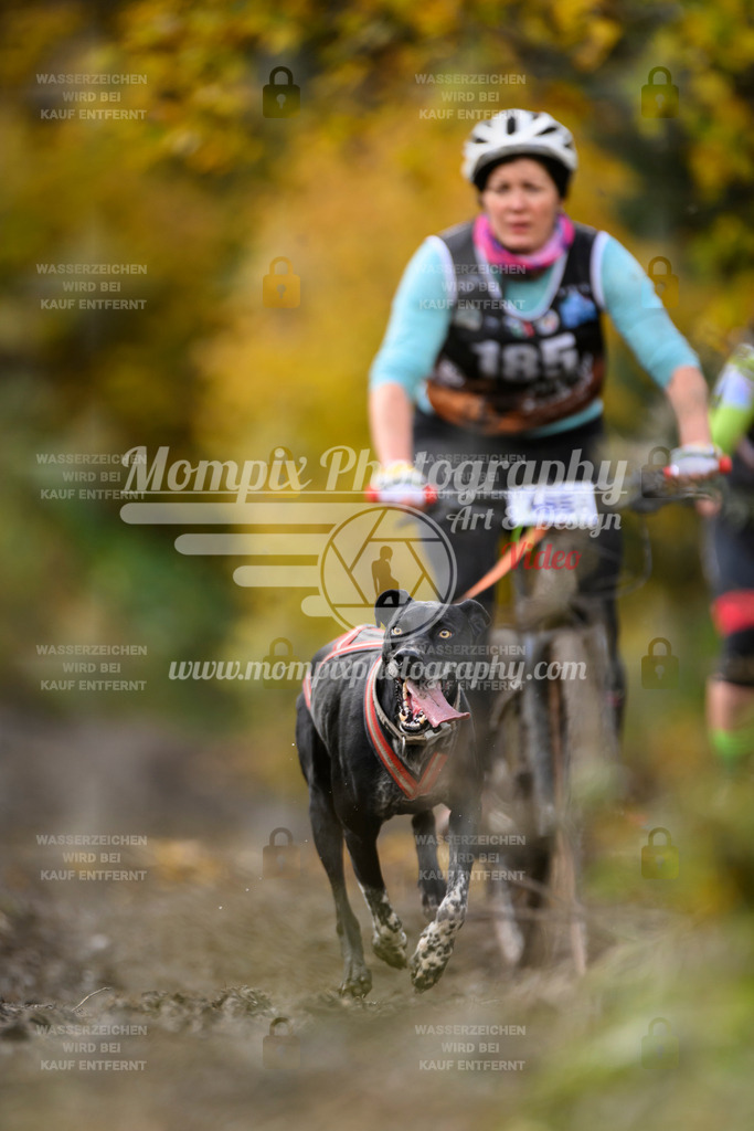 MompixPhotography_ICF_WC_2024_SA_Bike_-272 | PayLife