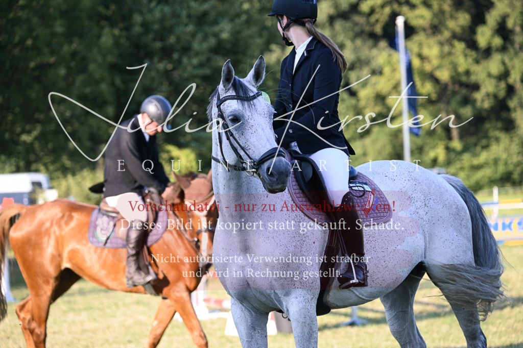 DSC_1912 | Pferde- und Turnierfotografie in Westsachsen. Pferdeportraits, Auftragszeichnungen und intuitive Kunst.