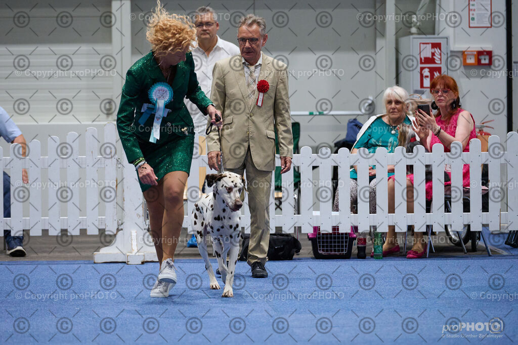 202406_ÖKV-IHA-Tulln24_DSC_3074 | proPHOTO - Realisiert mit Pictrs.com