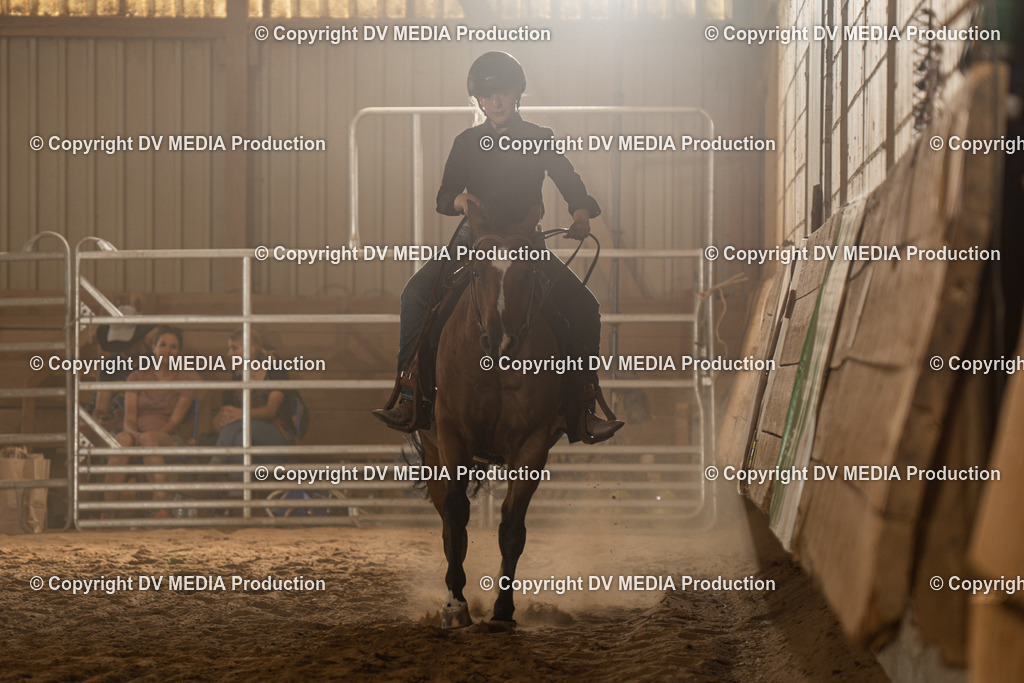 NID03656 | dv-media-shop - Realisiert mit Pictrs.com