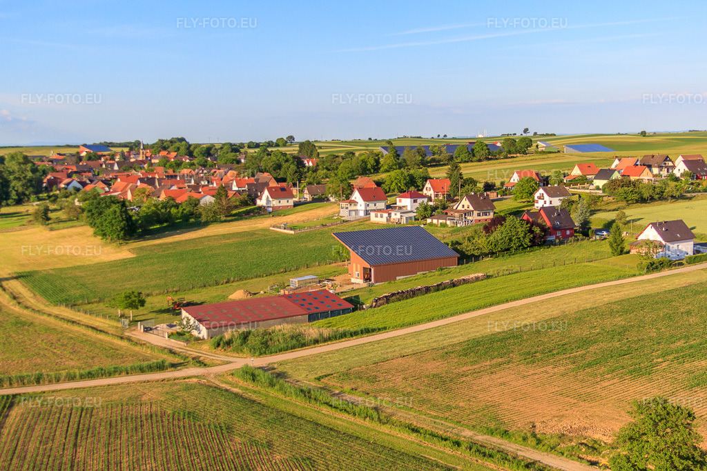Vue aérienne: Toiture de grange dans le système photovoltaïque de Foeller Energie à Siegen dans le département Bas Rhin, France – .Photo: IMG_66652.jpg prise le 05/06/2014 par Werner Riehm/FLY-FOTO.eu – Résolution de l'original: 4630 x 3087 px