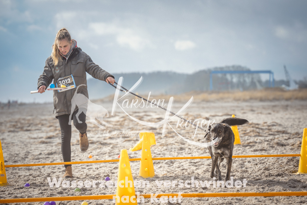 1158_ZZ93234 | kk-dogfotos