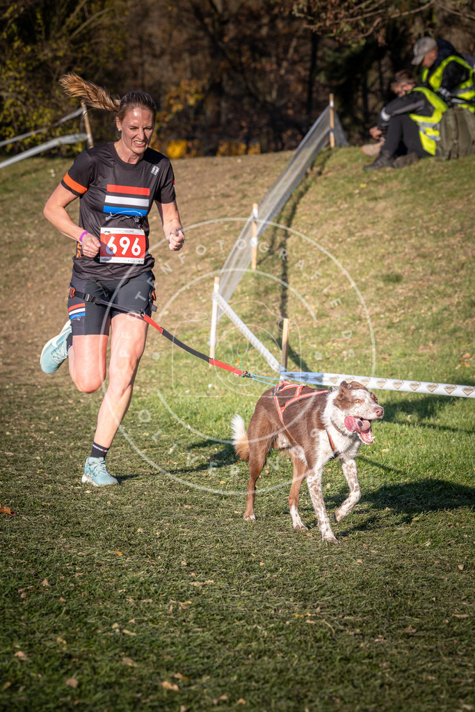 CaniXpix_0L8A9474 | Hundefotografie, Tierfotograf, Pfotenfotografie, Fotoshooting Hund, Hunde Portrait, Hundesport, Hundeportraits, Heideshooting, Hunde, Sportfotograf, Hundefotograf, Turnierhundsport, THS,  - Realisiert mit Pictrs.com
