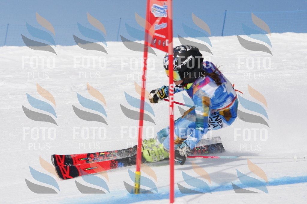 _W1G0593 | holidayphoto