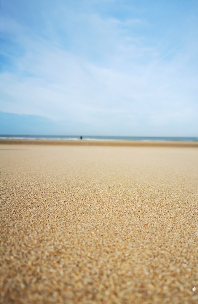 IMG_20231018_104837_edit_1151132939912887 | Pandiboo - Realisiert mit Pictrs.com