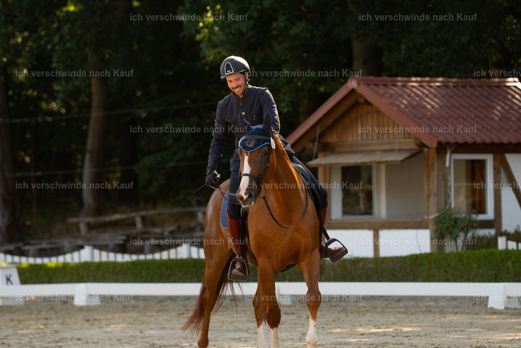 WA_DR_7_SinaFilmArt_IN01039 | working equitationturnier fotograf videograf stoibphotography marixx film working equitation deutschland reitsport turnierfotografie eventfotografie equestrian events