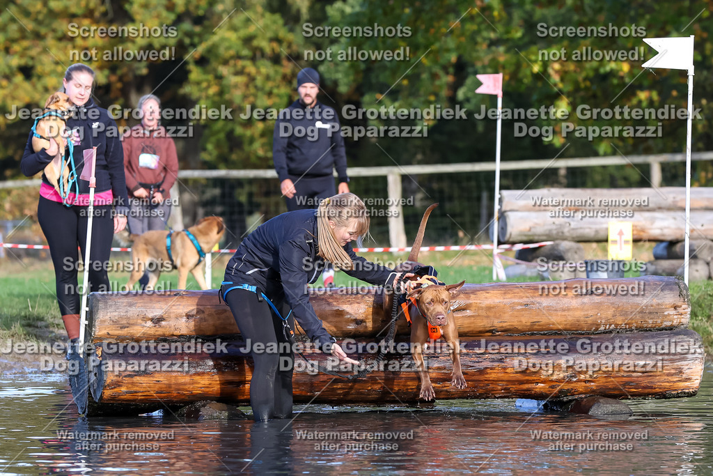 Dog Paparazzi - Strongdog 10-25-8550 | Dog Paparazzi Jeanette Grottendiek Fotografie & Videografie - Realisiert mit Pictrs.com