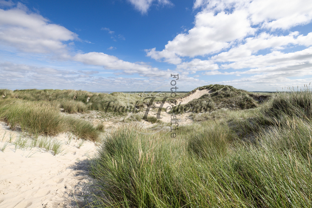 St. Peter Ording Dünenlandschaft | Frank Herberich Fotografie, Frank Herberich, Fotografie, Hochzeit, Portrait, St. Peter Ording, Ording, Westerhever, Nordsee, Frank Fotografie, Hardheim,  Odenwald,Walldürn, Band,Eventfotografie - Realisiert mit Pictrs.com