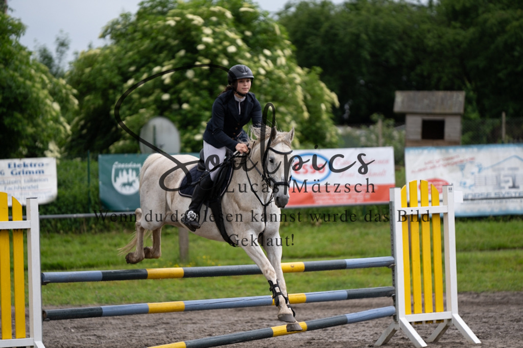 A7V04022 | Pferdefotograf