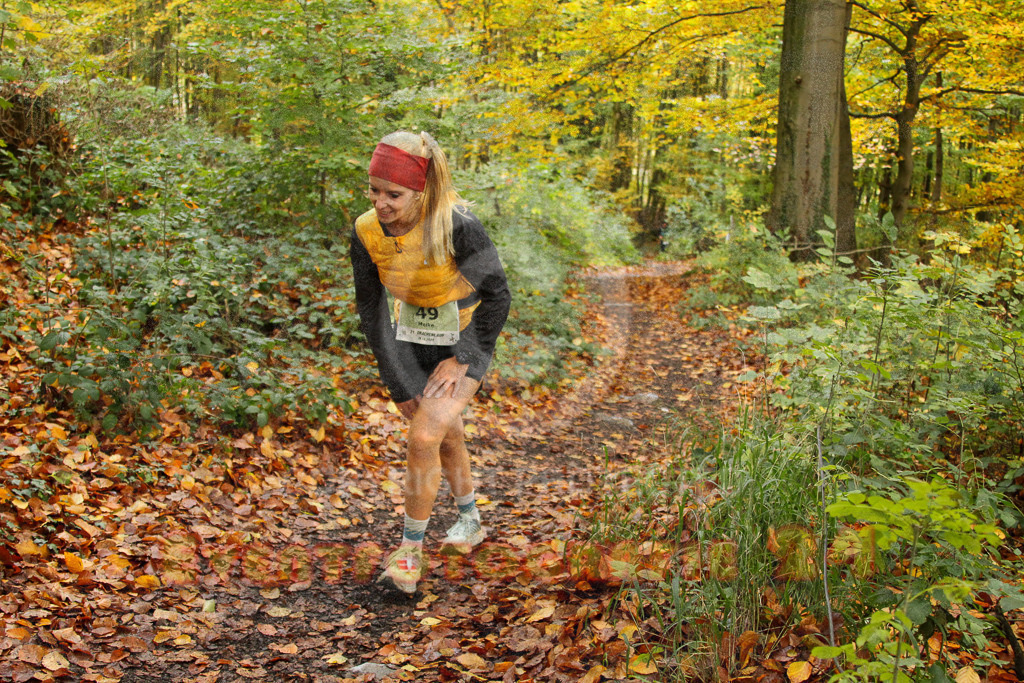 251026_1247_EV4_5824 | Sportfotografie im Rhein-Sieg Kreis, Köln, Bonn, NRW, Rheinland Pfalz, Hessen, etc. Unser Tätigkeitsfeld umfasst den Laufsport vom Volkslauf über den Marathon, Duathlon, Triathon bis zum Ultralauf wie Kölnpfad Ultra oder Schindertrail.