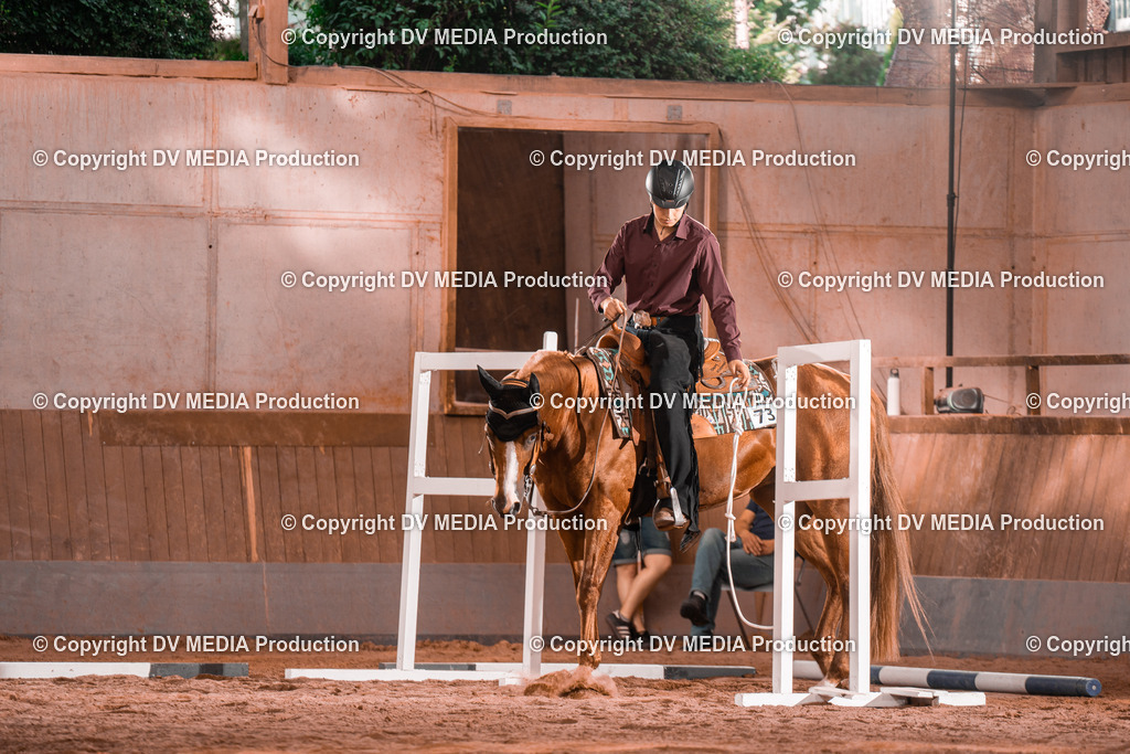 NE300061 | dv-media-shop - Realisiert mit Pictrs.com