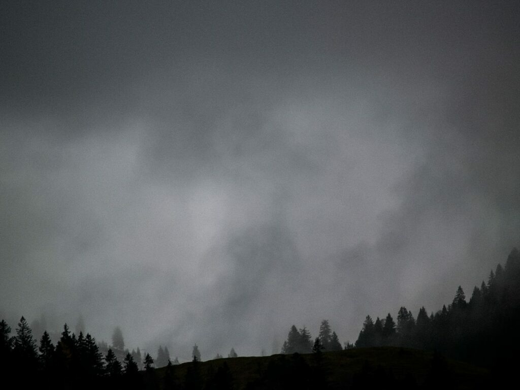 PSX_20221129_230421 | mtkfoto_ - Realisiert mit Pictrs.com