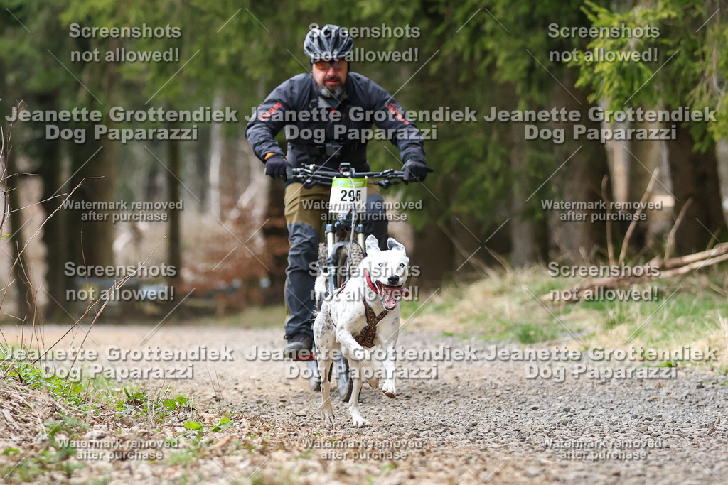 Dog Paparazzi - VCC26-551 | Dog Paparazzi Jeanette Grottendiek Fotografie & Videografie - Realisiert mit Pictrs.com