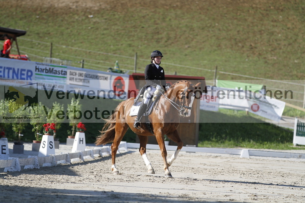 _MG_3202 | equestrian-live-com