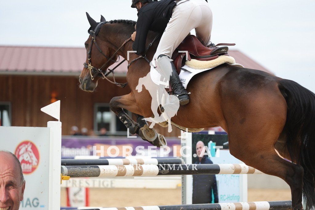 0P6A4618 | Willkommen bei Brunnmayr - Design & Fotografie – Ihrem Spezialisten für Reitturniere und Pferdeveranstaltungen in Oberösterreich, Salzburg und Bayern! Seit über 17 Jahren sind wir leidenschaftlich dabei.