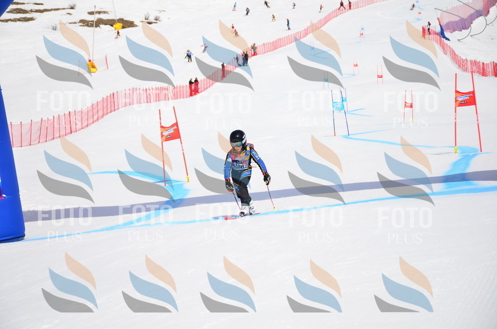 VR4_6854 | holidayphoto