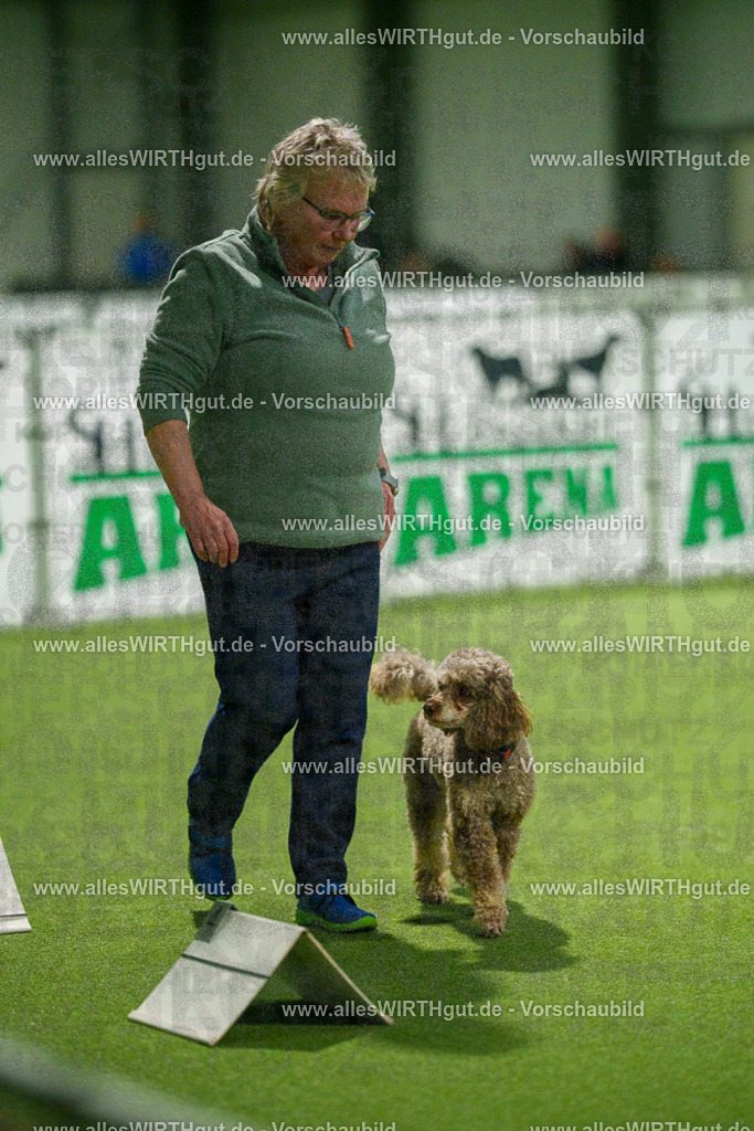 7R509158 | Professionelle Tierfotografie in Mönchengladbach von Daniel Wirth (allesWIRTHgut). Liebevolle & natürliche Bilder von Hunden & Katzen für unvergessliche Erinnerungen.