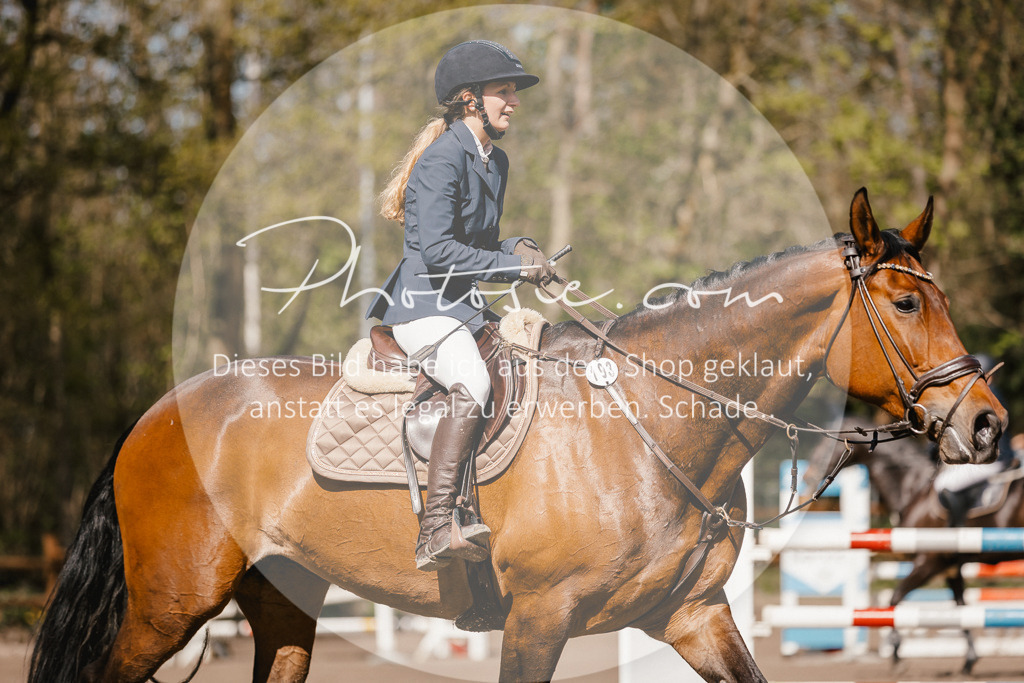 3I6A3964 | Stimmungsvolle Portraits und Reitsportfotografie im Ruhrgebiet und im Münsterland.

Pferdefotografie, Hundefotografie, Tierfotografie, Reportagen, Portraits von Tier und Mensch, Turnierfotografie in Bochum, Recklinghausen, Marl, Haltern am See, Dülmen.. - Realisiert mit Pictrs.com