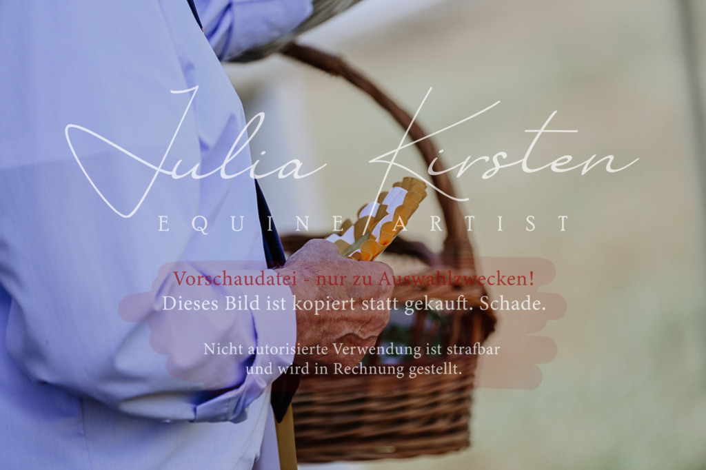 DSC_0867 | Pferde- und Turnierfotografie in Westsachsen. Pferdeportraits, Auftragszeichnungen und intuitive Kunst.