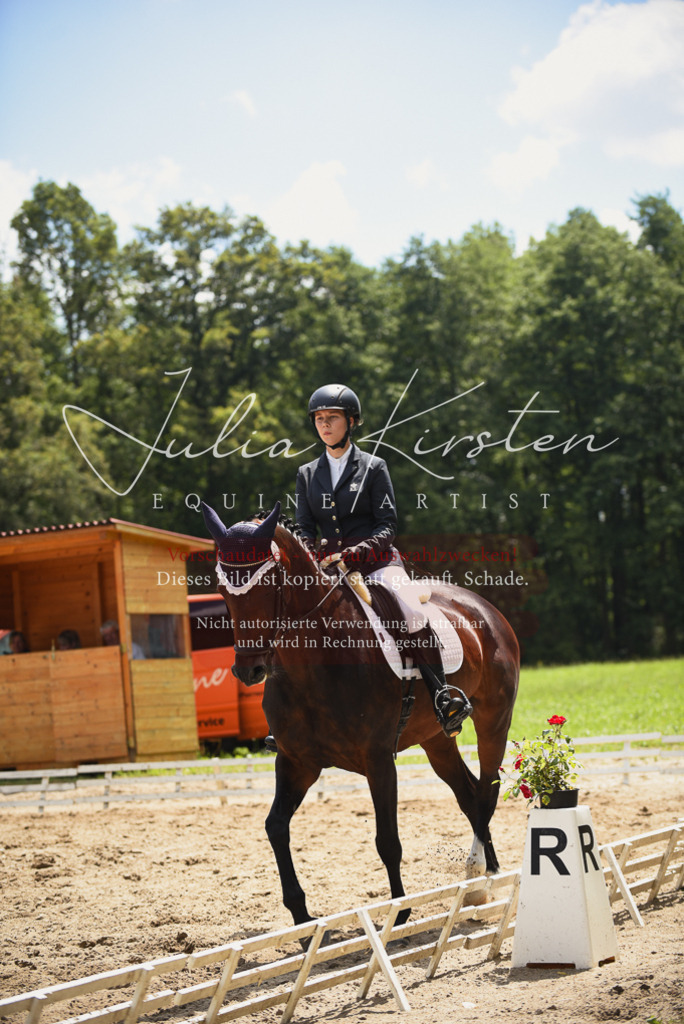 DSC_1495 | Pferde- und Turnierfotografie in Westsachsen. Pferdeportraits, Auftragszeichnungen und intuitive Kunst.
