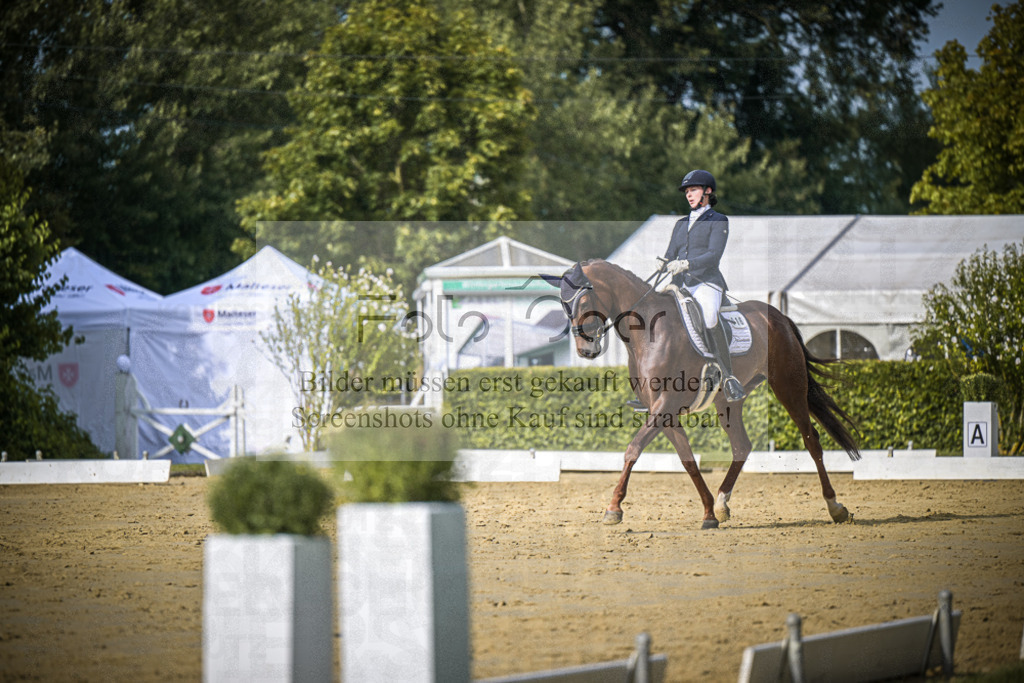 DOS_8033 | Entdecke hochwertige Reitturnierfotos von Foto Oger. Professionell, emotional und authentisch – jetzt Lieblingsmomente im Shop bestellen.Deutschlandweite Turnierfotografie. - Realisiert mit Pictrs.com