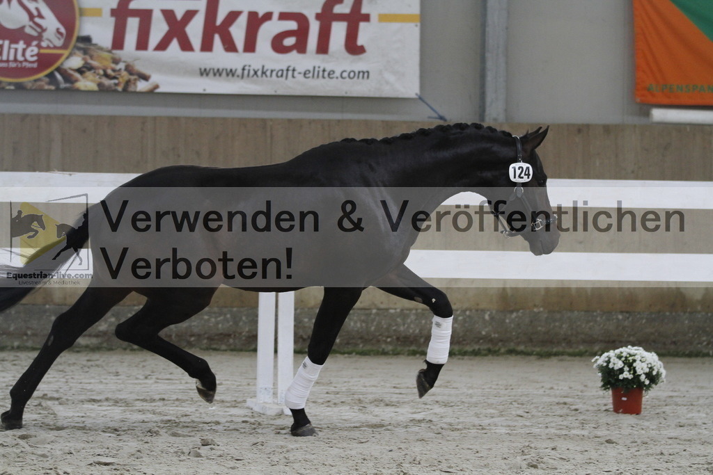 _MG_9658 | equestrian-live-com