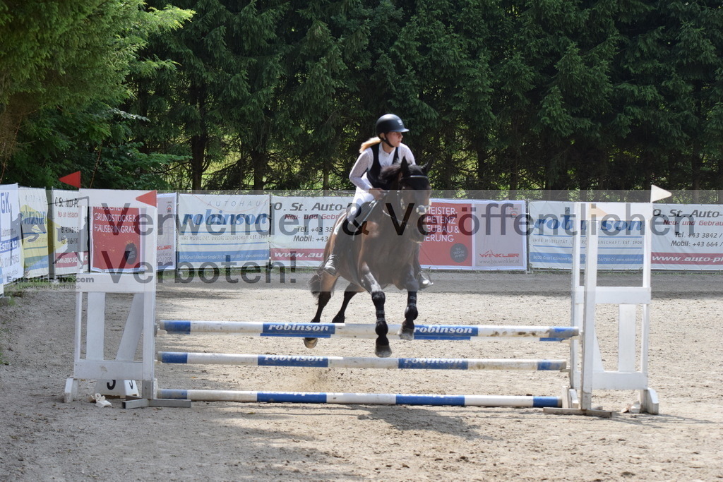 DSC_0024 | equestrian-live-com