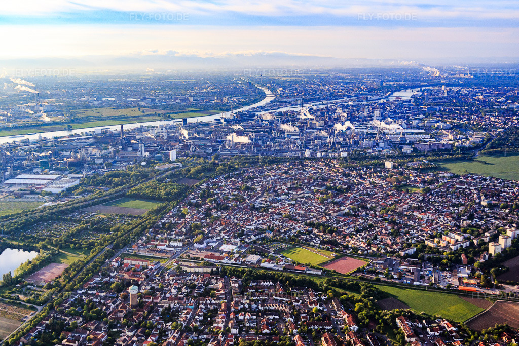 Luftbild: Ortsansicht am Morgen von Norden bis zur BASF am Rhein im Ortsteil Oppau in Ludwigshafen im Bundesland Rheinland-Pfalz in Deutschland. Foto: IMG_088650.jpg vom 20.05.2016 durch Werner Riehm/FLY-FOTO.de