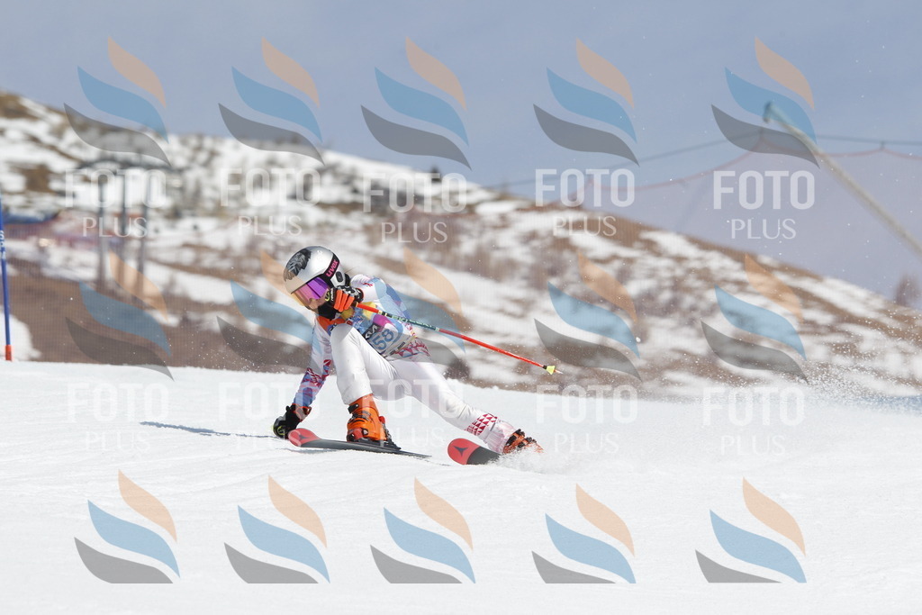 _U3G1362 | holidayphoto