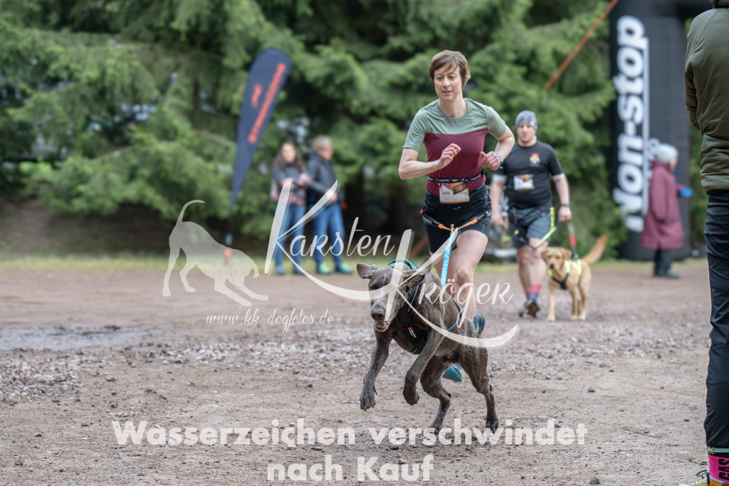0812_ZZ99541 | kk-dogfotos