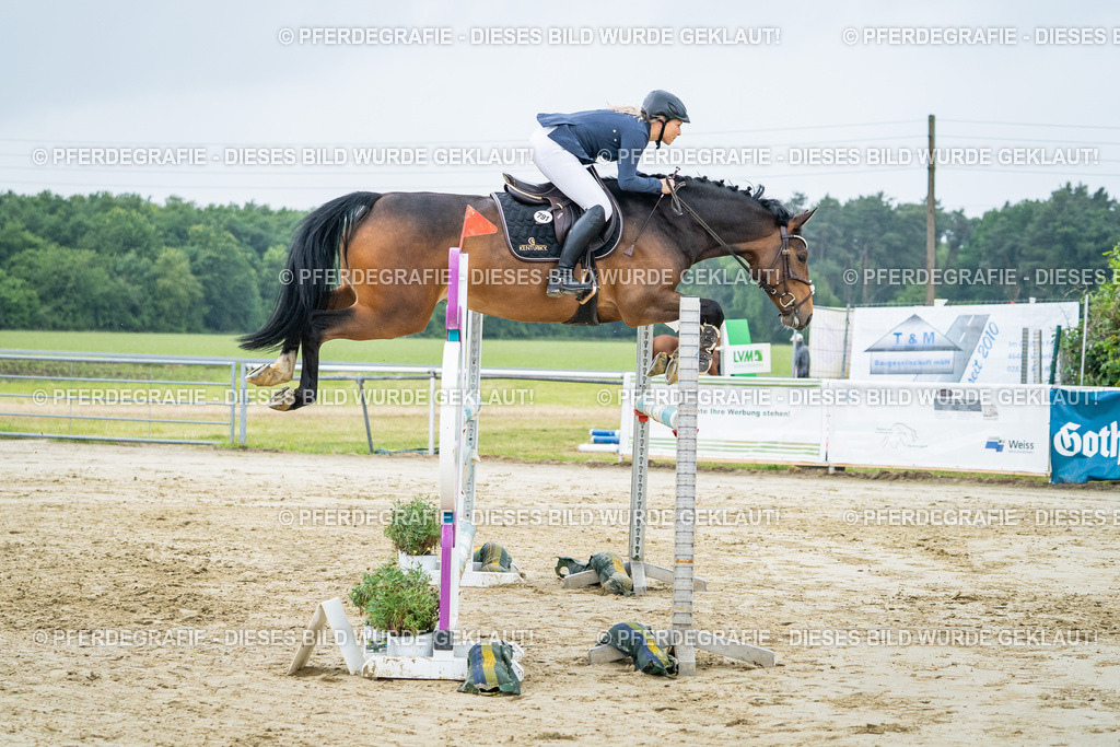 DSC01921 | Pferdegrafie