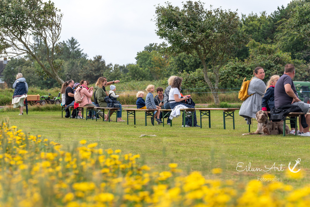 EAF_6769 | Eilun-Art-Fotografie Levke Martens, ihre Fotografin für Immobilien- und Landschaftsfotografie auf Föhr, Föhrer Motive als Poster, Leinwand, hinter Acrylglas oder stelle dir deinen eigenen Monatskalender zusammen, mit nur einem Klick