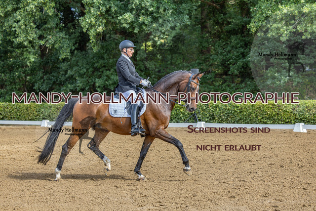 16.8.25 D1 DRE M-164 | mandyhollmannphotographie