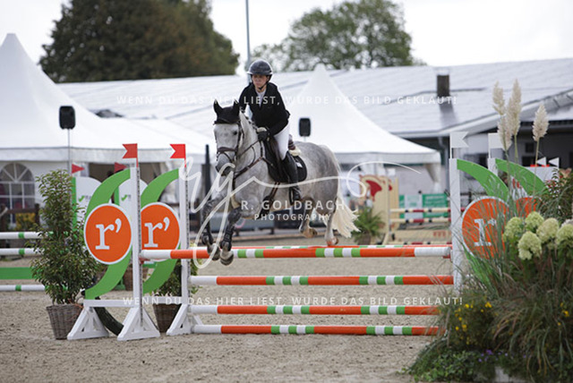 1J2A0261Nicola Schweiger_ Kam__ Kn559_ Havekost | Foto- und Videografie für alles rund ums Pferd. Hochwertige Bilder und Videos vom Spring- und Dressurreiten, Voltigieren & mehr. Jetzt aktuelle Veranstaltungen und Preise im Shop ansehen. - Realisiert mit Pictrs.com